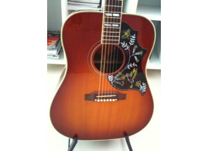 Gibson Hummingbird