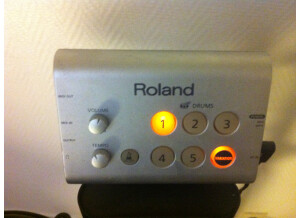 Roland HD-1 (20799)