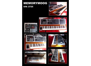 Moog Music MemoryMoog Plus (25171)