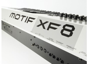 Motif XF8 WH 3