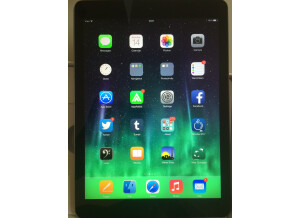 Apple iPad Air (67318)