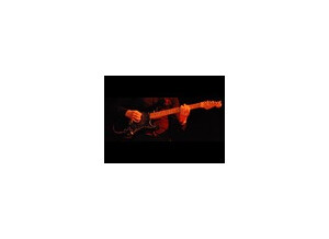 EMG SL20 Steve Lukather (23286)