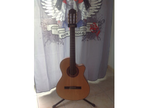 Alhambra Guitars 3F CW E1 (85777)