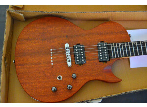 Chapman Guitars ML-2 (25940)