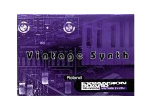 Roland SR-JV80-04 Vintage Synthesizer (48805)