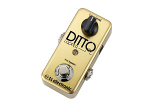 Ditto looper gold le persp