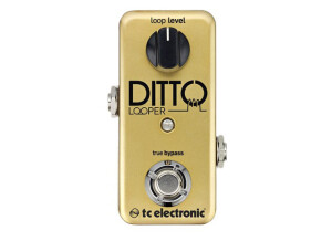 Ditto looper gold le front