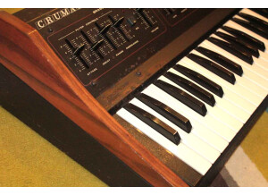 Crumar Performer (70240)