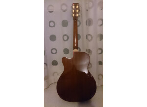 Tanglewood TW170 AS CE (94333)