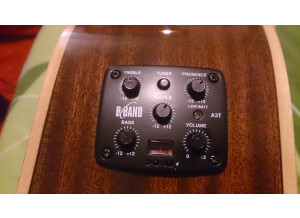 Tanglewood TW170 AS CE (7302)