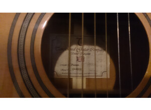 Tanglewood TW170 AS CE (61954)