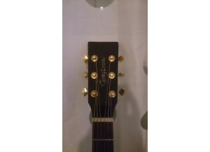 Tanglewood TW170 AS CE (42296)