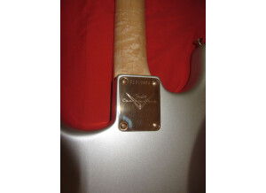 Fender Custom Shop Robert Cray Signature Stratocaster - Inca Silver