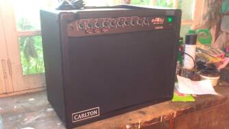 Carlton Camel 100