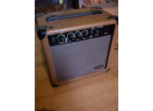 Stagg 10 AA EU