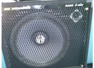 SWR WorkingPro 1x15 (46800)
