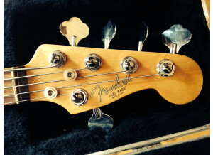 Fender jazz bass 5 cordes