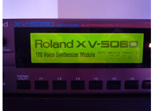 Roland XV-5080 (38975)