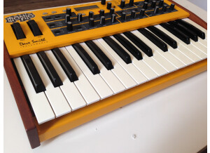 Dave Smith Instruments Mopho Keyboard (79371)