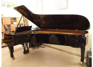 Modartt Pianoteq K1 Grand Piano (9901)