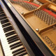 Pianoteq K1 Grand Piano Pianoteq K1 Grand Piano