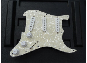 Fender Texas Special