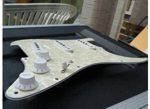 Fender Texas Special