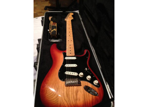 Fender Stratocaster standard US