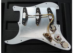 Fender Texas Special