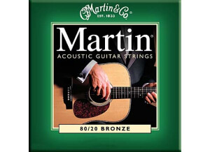 Martin & Co Traditional 80/20 Bronze M170 Extra Light 10-47 (45015)