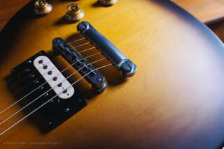 Gibson LPJ (2014)