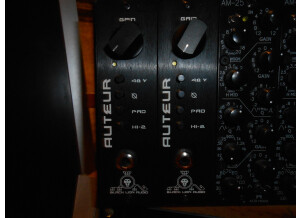 Black Lion Audio Auteur 500 (92161)