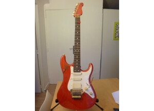 Valley Arts Guitars Custom Pro (31154)