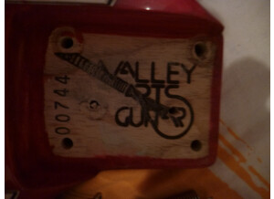 Valley Arts Guitars Custom Pro (87354)