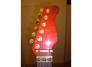Valley Arts Guitars Custom Pro (900)
