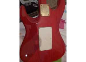 Valley Arts Guitars Custom Pro (58516)