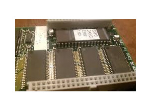 Ensoniq EXP-3 Urban Dance Expansion card (71045)