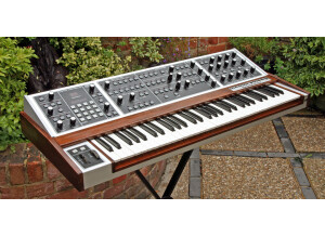 Moog Music MemoryMoog (15404)