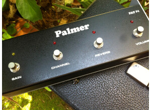 Palmer FAT50 Combo