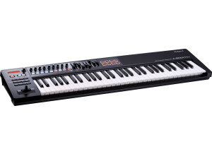 Roland A-800PRO-R (10353)