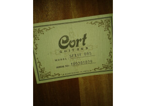 Cort SFX1F - Dark Blue Sunburst