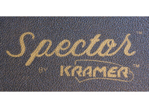 boitier d'origine, Spector NS2A