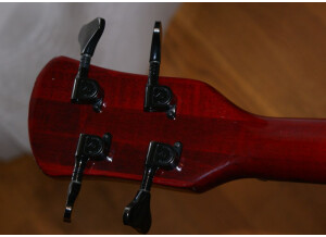 dos tête Spector NS2A