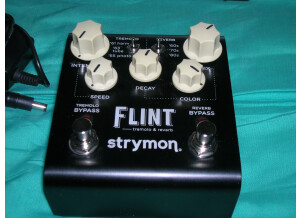 Strymon Flint (80962)