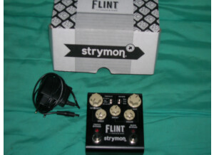Strymon Flint (6481)