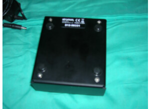 Strymon Flint (23570)