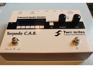 Two Notes Audio Engineering Torpedo C.A.B. (Cabinets in A Box) (69172)