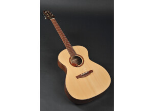 Guitare Acoustique Luthier MJS