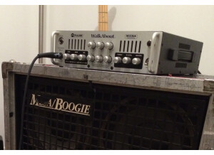 Mesa Boogie M-Pulse WalkAbout (29529)