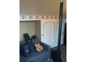 Bose L1 Compact